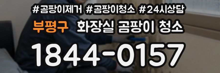 부평구 화장실 곰팡이 청소