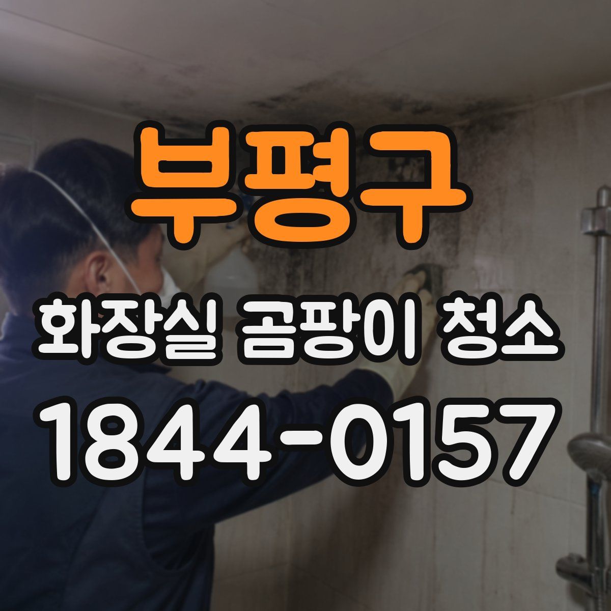 부평구 화장실 곰팡이 청소