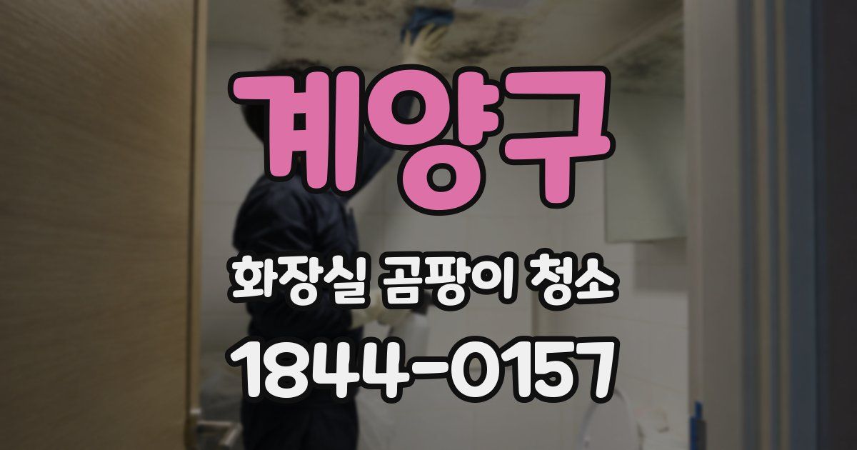 계양구 화장실 곰팡이 청소