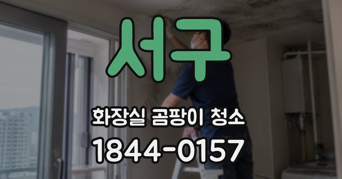 서구 화장실 곰팡이 청소