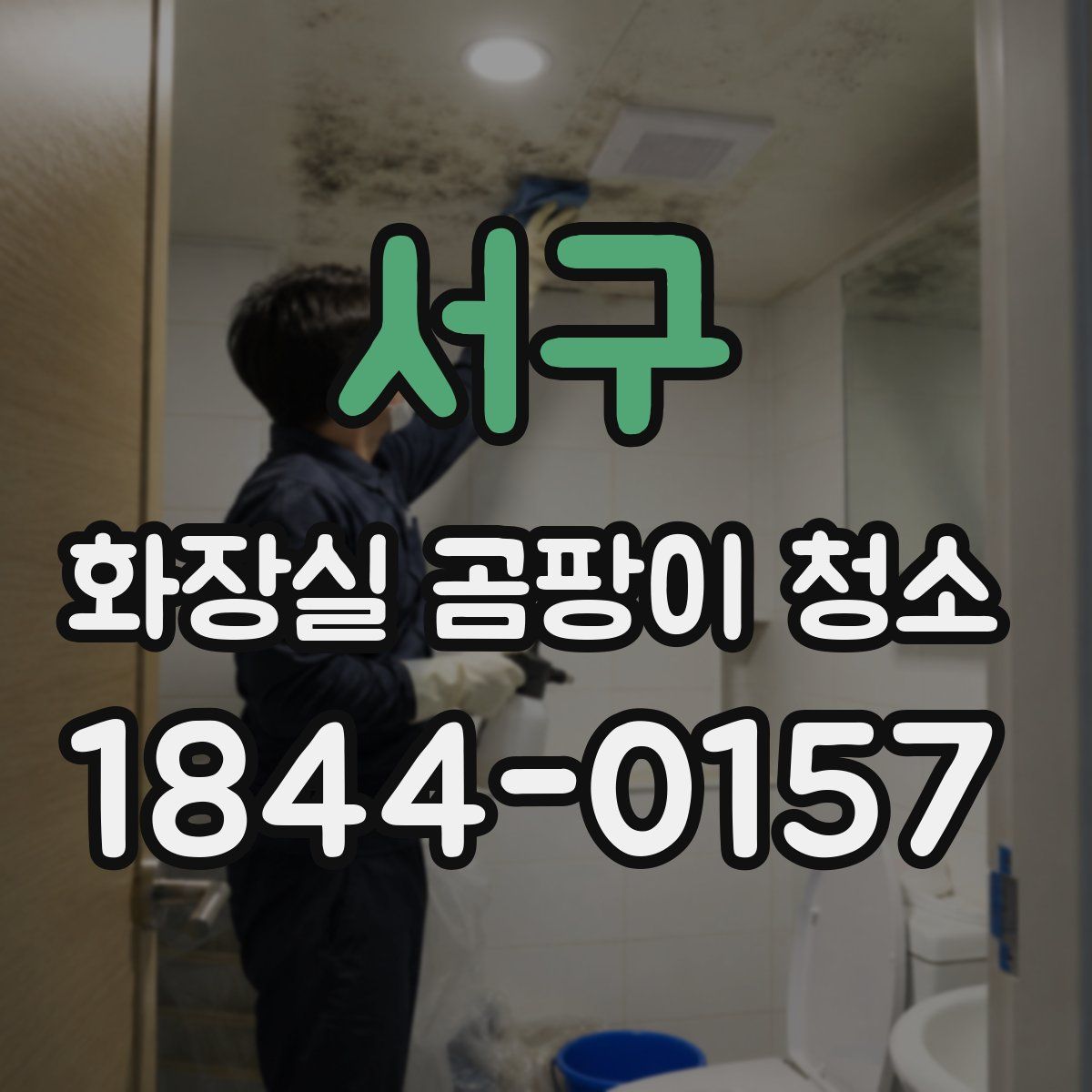 서구 화장실 곰팡이 청소