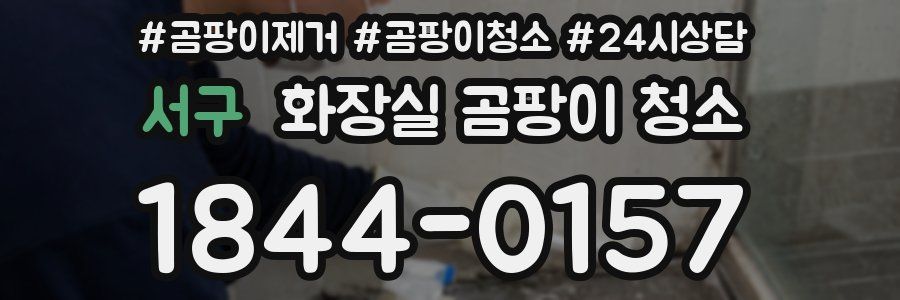 서구 화장실 곰팡이 청소