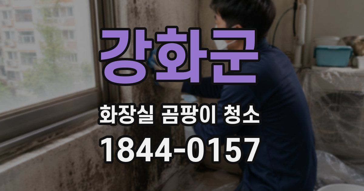 강화군 화장실 곰팡이 청소