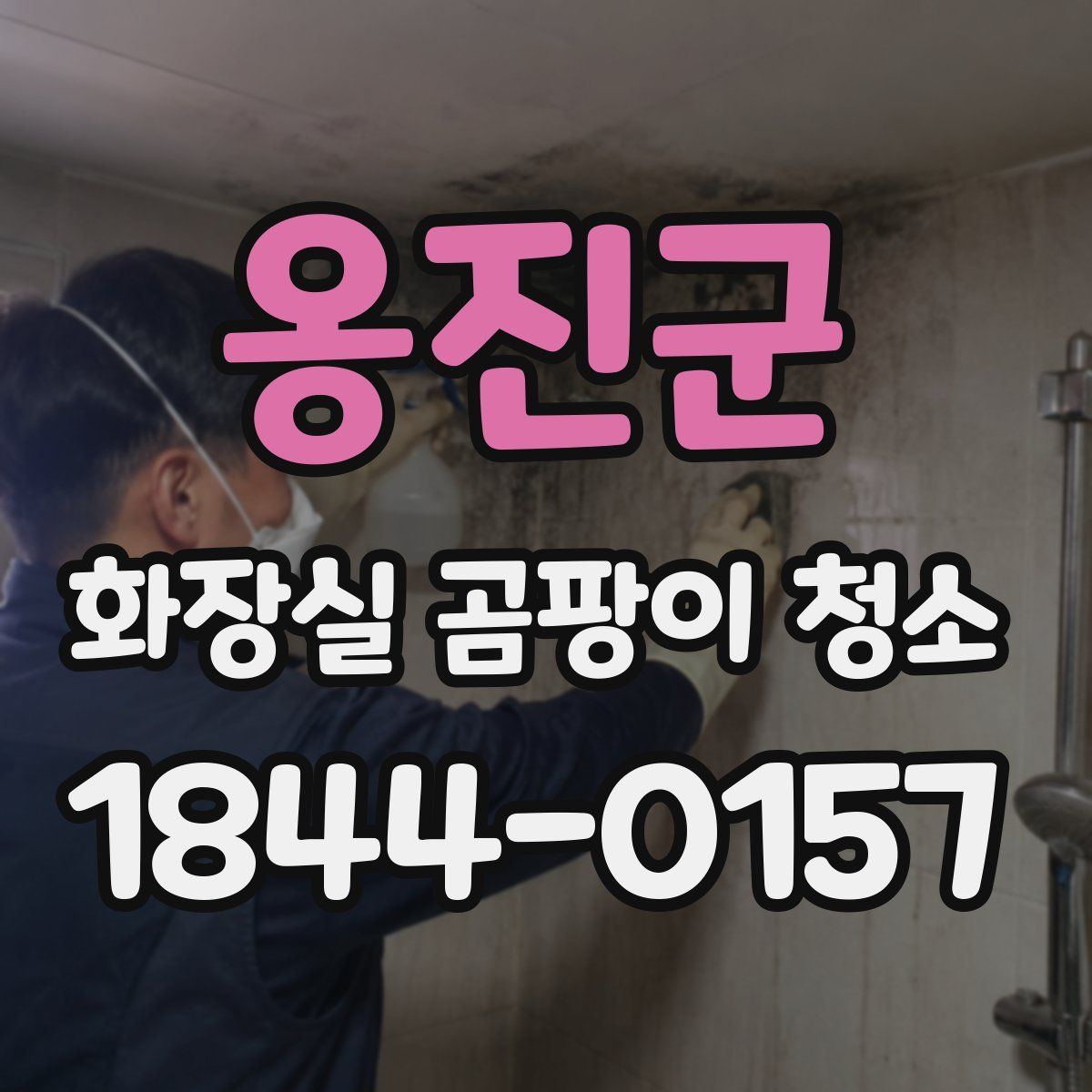 옹진군 화장실 곰팡이 청소