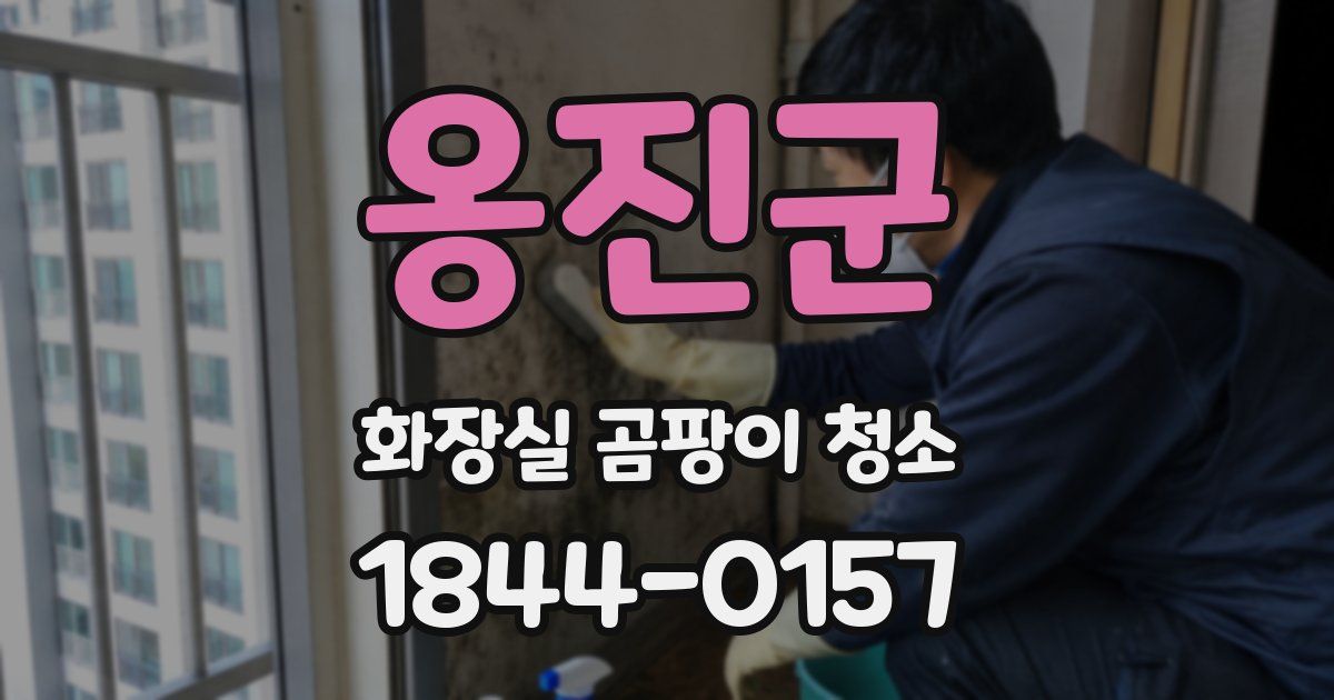 옹진군 화장실 곰팡이 청소