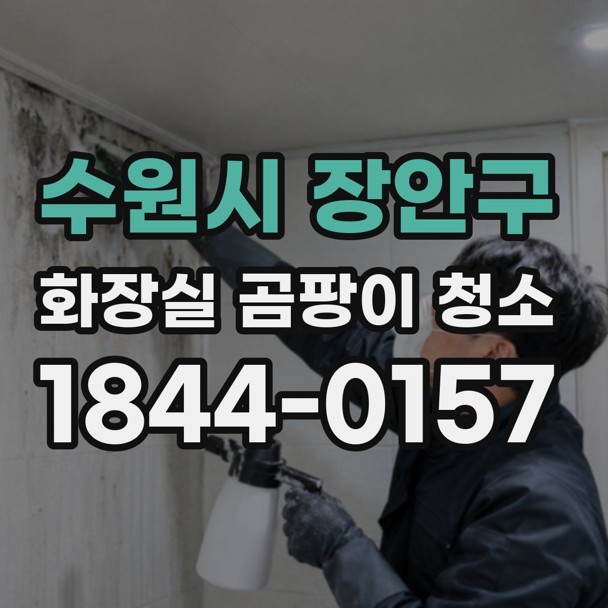 수원시 장안구 화장실 곰팡이 청소