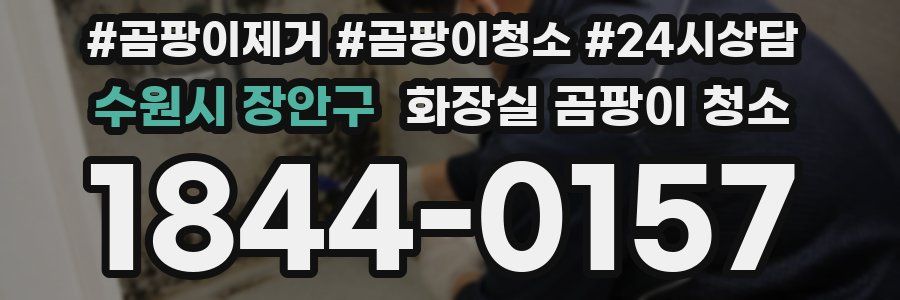 수원시 장안구 화장실 곰팡이 청소