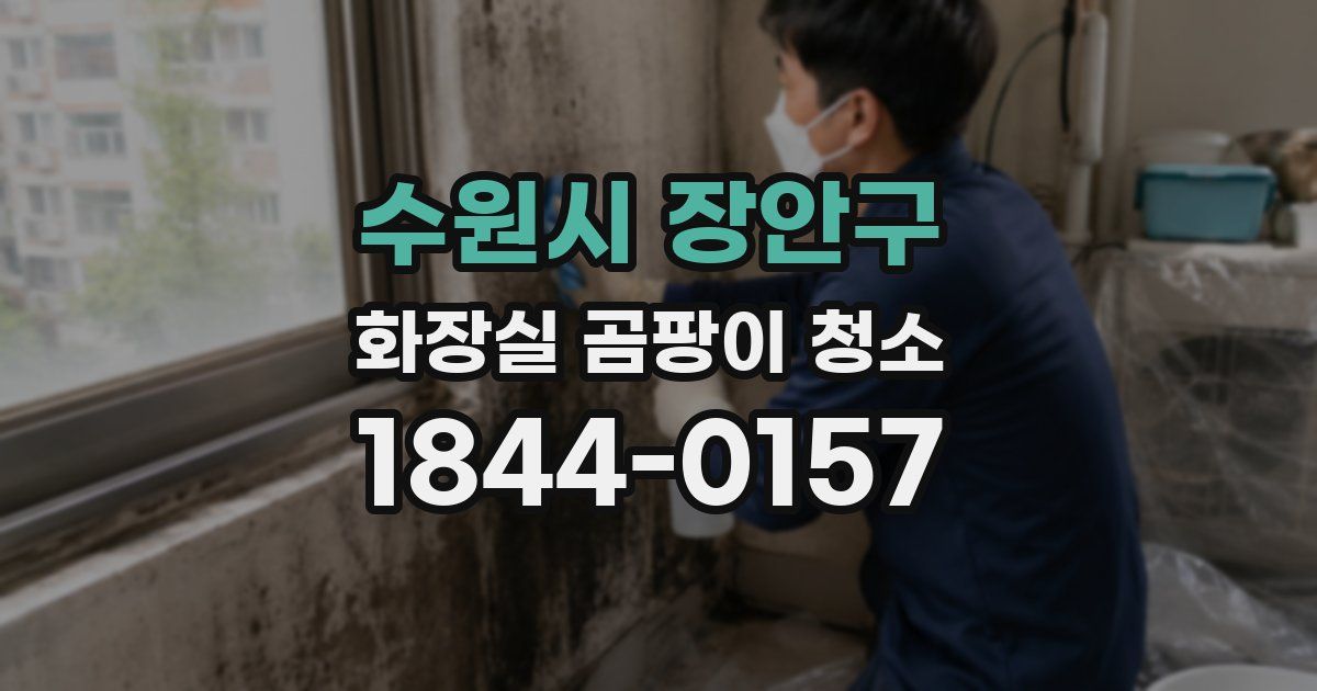 수원시 장안구 화장실 곰팡이 청소