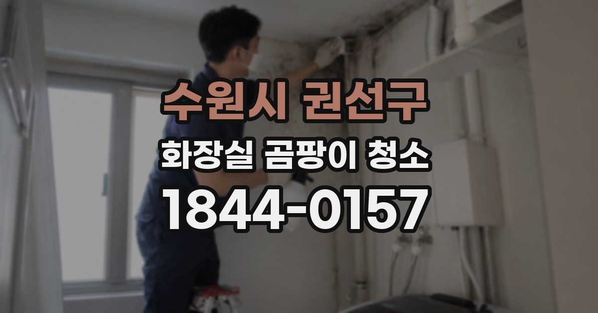 수원시 권선구 화장실 곰팡이 청소