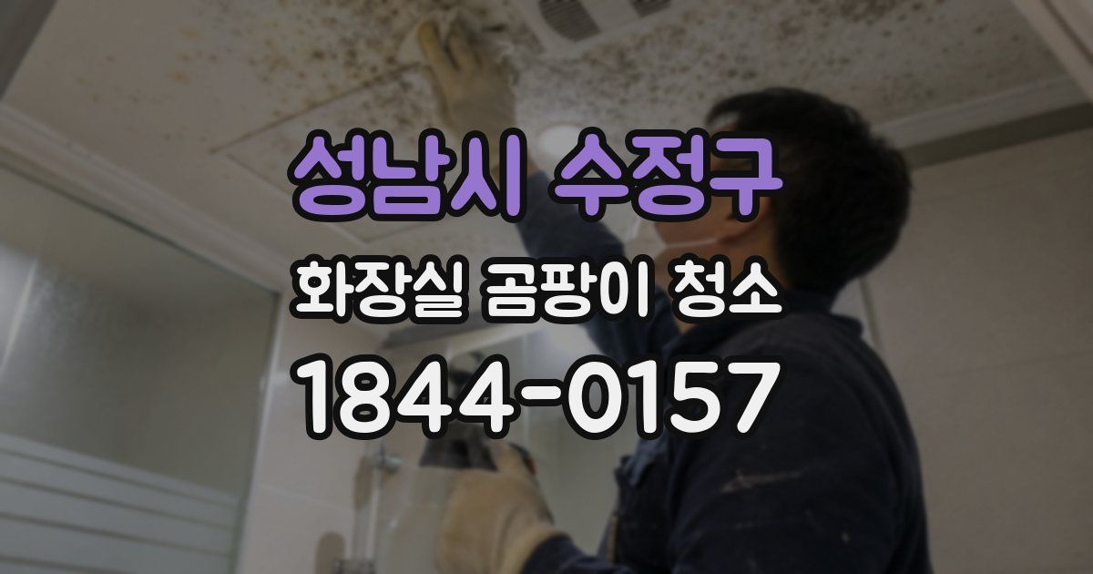 성남시 수정구 화장실 곰팡이 청소