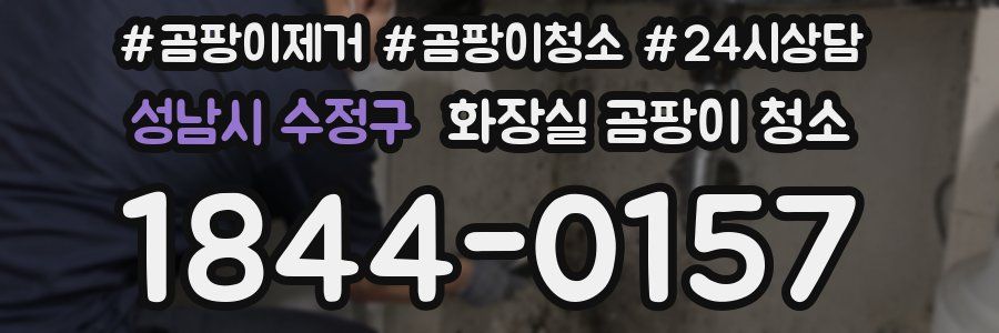 성남시 수정구 화장실 곰팡이 청소