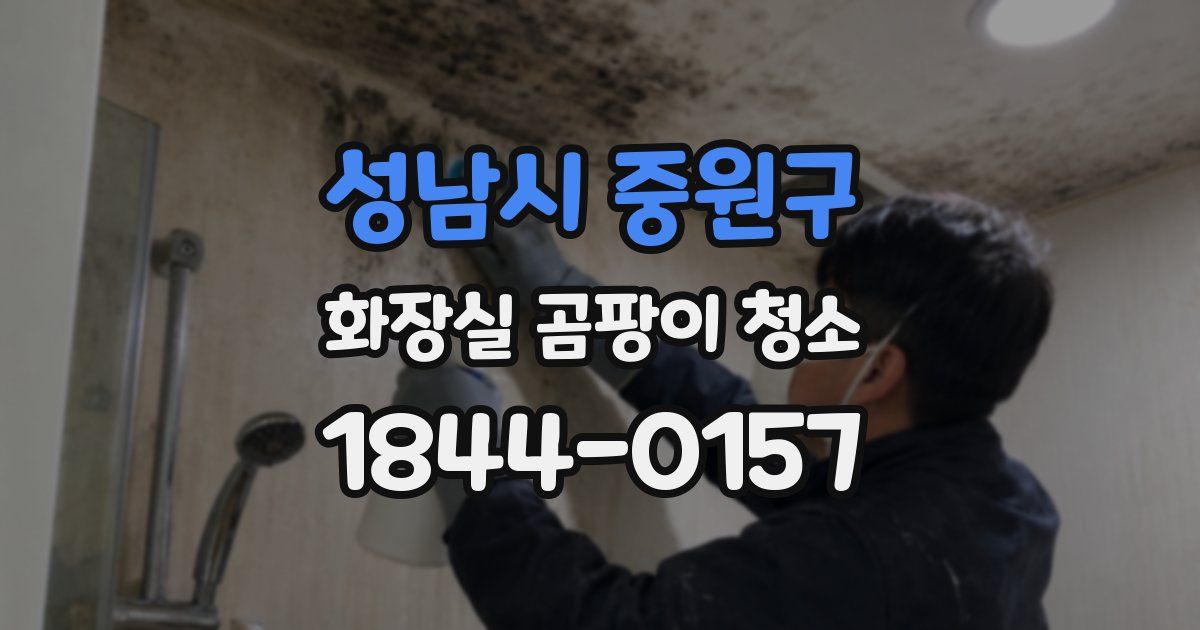 성남시 중원구 화장실 곰팡이 청소
