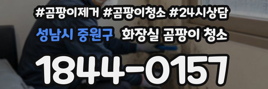 성남시 중원구 화장실 곰팡이 청소