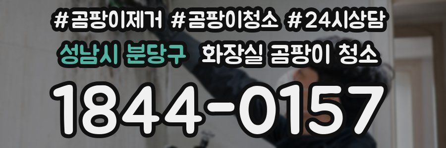 성남시 분당구 화장실 곰팡이 청소