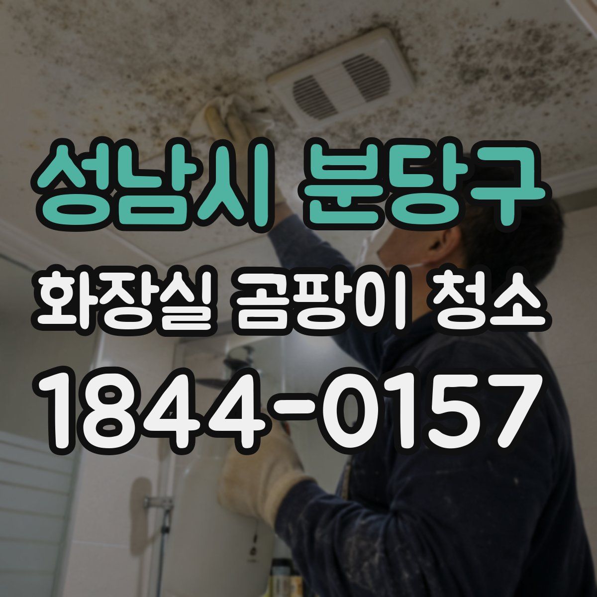 성남시 분당구 화장실 곰팡이 청소