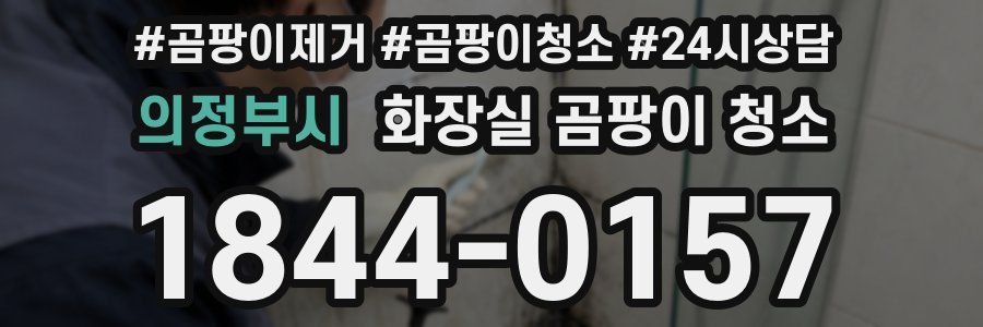 의정부시 화장실 곰팡이 청소