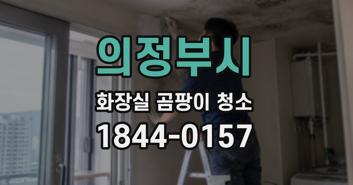 의정부시 화장실 곰팡이 청소