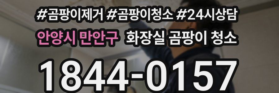 안양시 만안구 화장실 곰팡이 청소