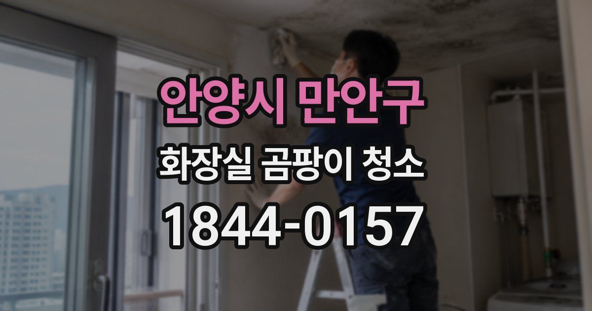 안양시 만안구 화장실 곰팡이 청소