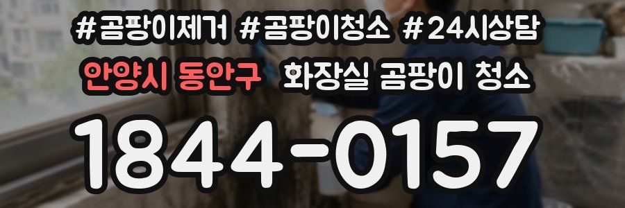 안양시 동안구 화장실 곰팡이 청소