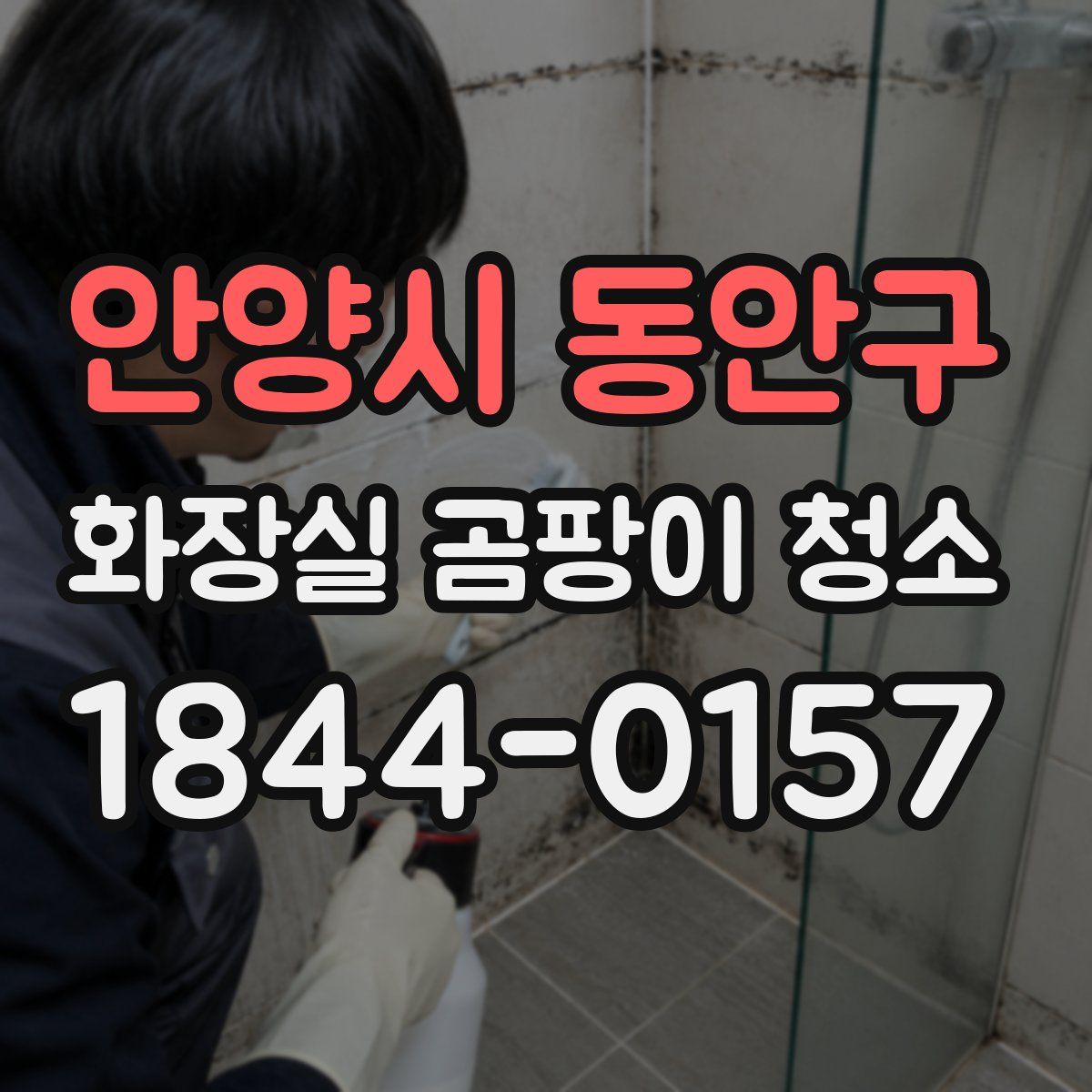 안양시 동안구 화장실 곰팡이 청소