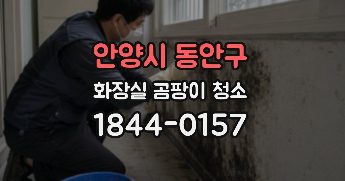 안양시 동안구 화장실 곰팡이 청소