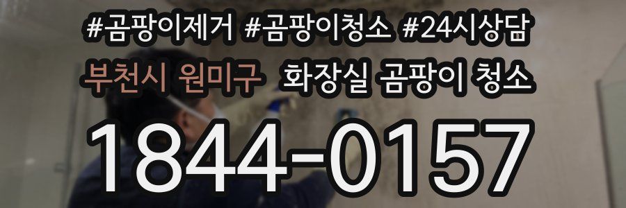 부천시 원미구 화장실 곰팡이 청소