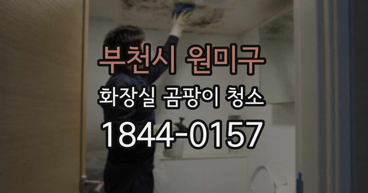 부천시 원미구 화장실 곰팡이 청소