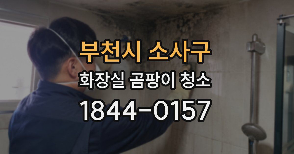 부천시 소사구 화장실 곰팡이 청소