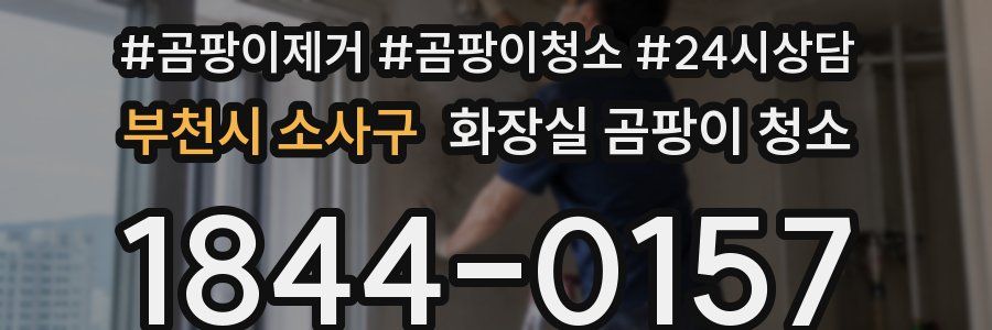 부천시 소사구 화장실 곰팡이 청소