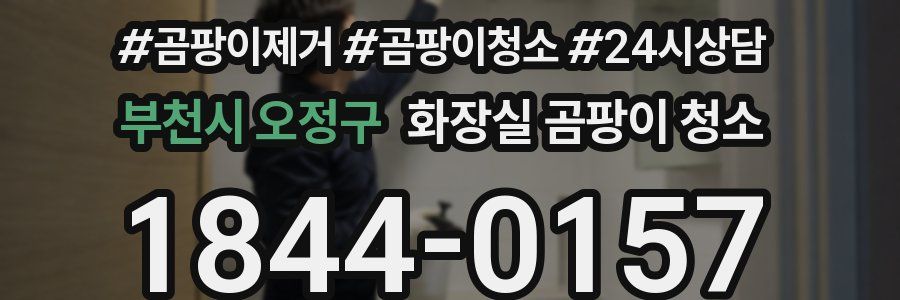 부천시 오정구 화장실 곰팡이 청소