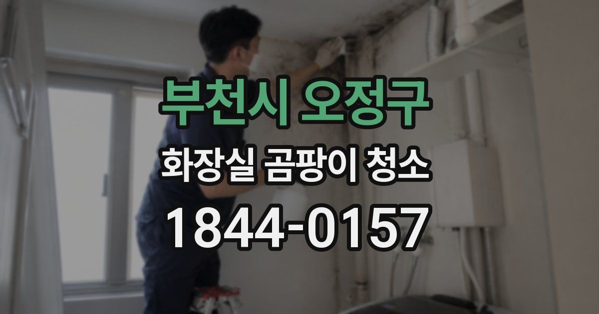 부천시 오정구 화장실 곰팡이 청소