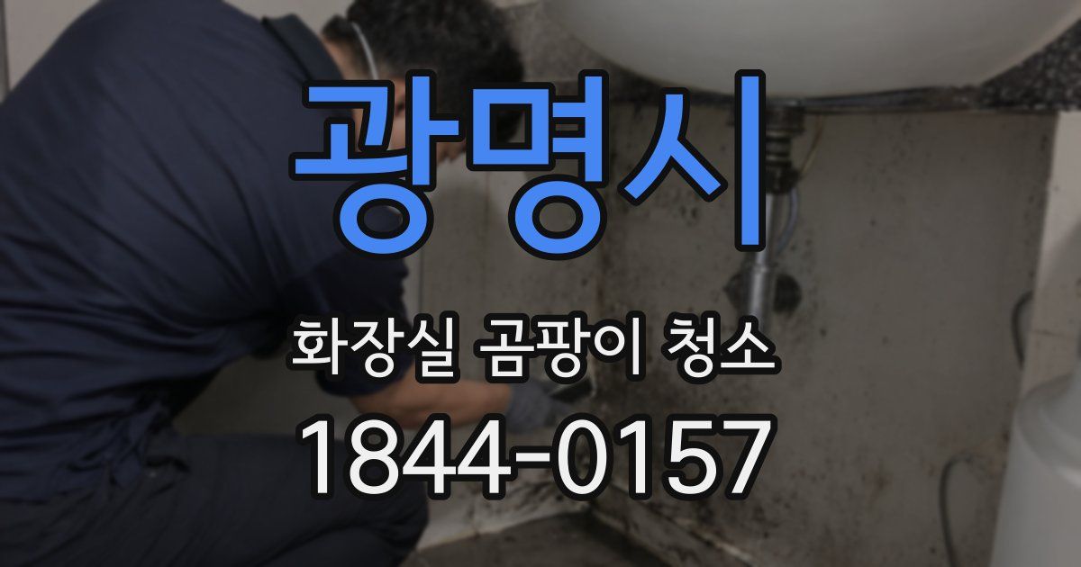 광명시 화장실 곰팡이 청소