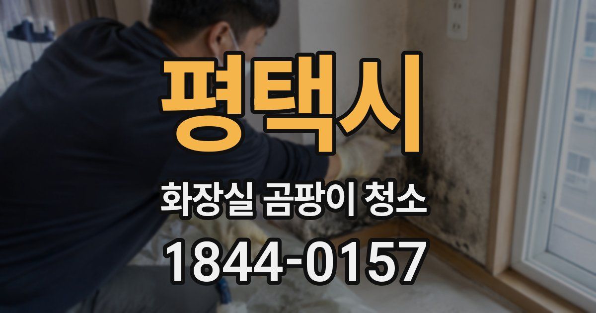 평택시 화장실 곰팡이 청소
