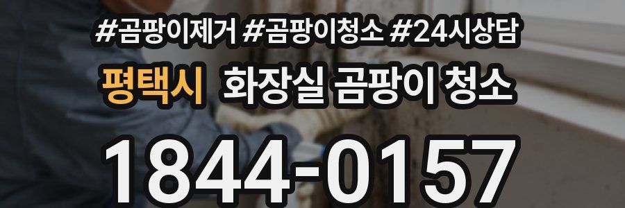 평택시 화장실 곰팡이 청소