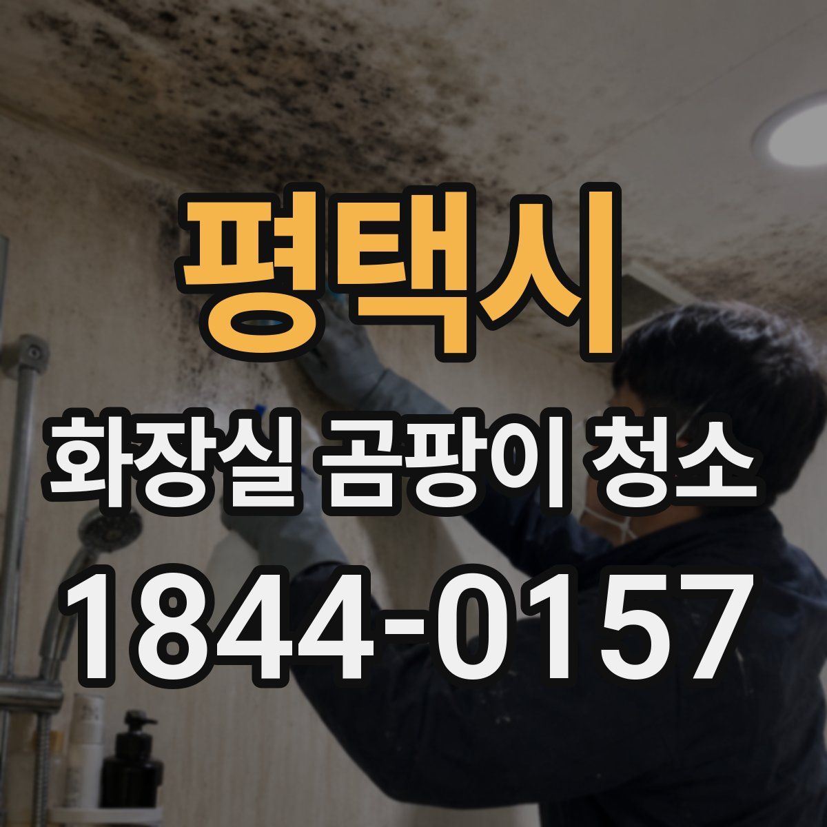 평택시 화장실 곰팡이 청소