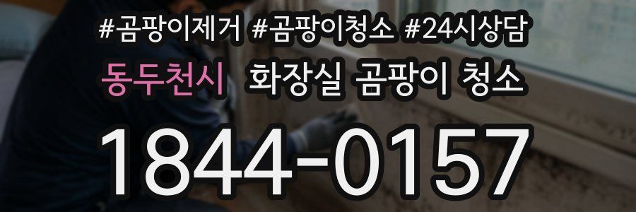 동두천시 화장실 곰팡이 청소