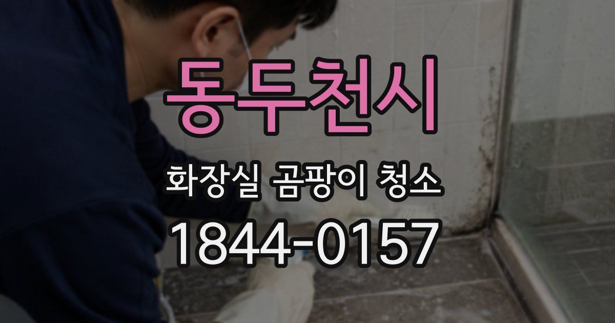 동두천시 화장실 곰팡이 청소