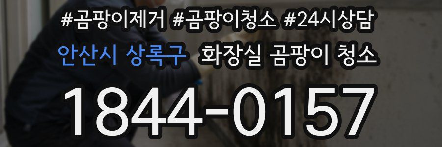 안산시 상록구 화장실 곰팡이 청소