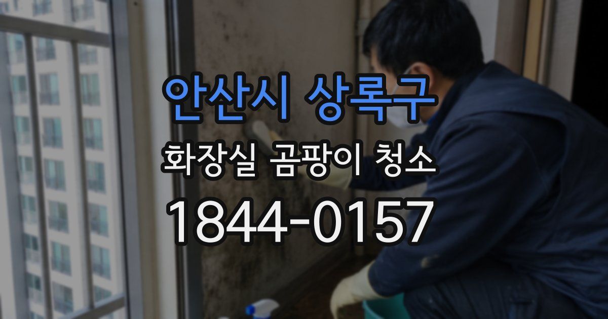 안산시 상록구 화장실 곰팡이 청소
