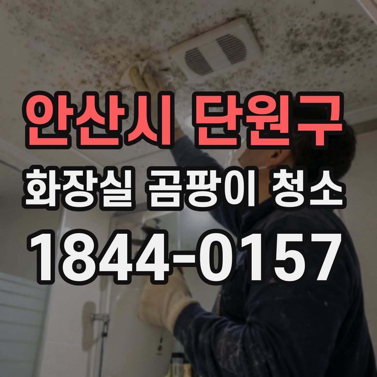 안산시 단원구 화장실 곰팡이 청소