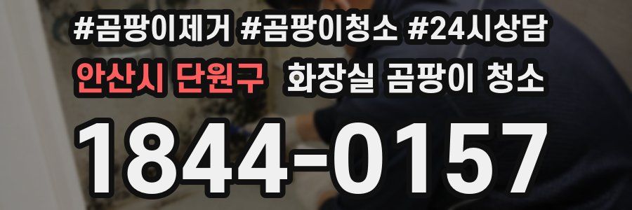 안산시 단원구 화장실 곰팡이 청소