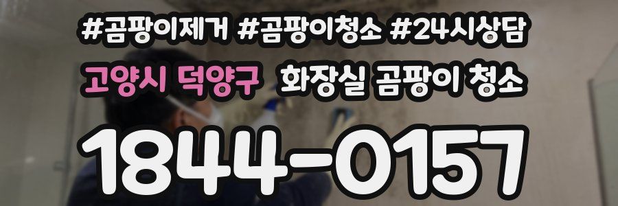 고양시 덕양구 화장실 곰팡이 청소