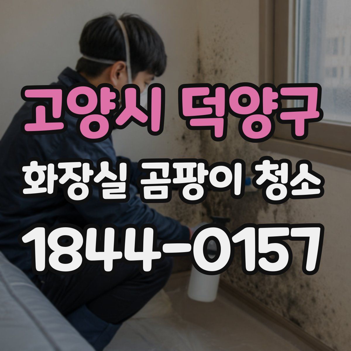 고양시 덕양구 화장실 곰팡이 청소