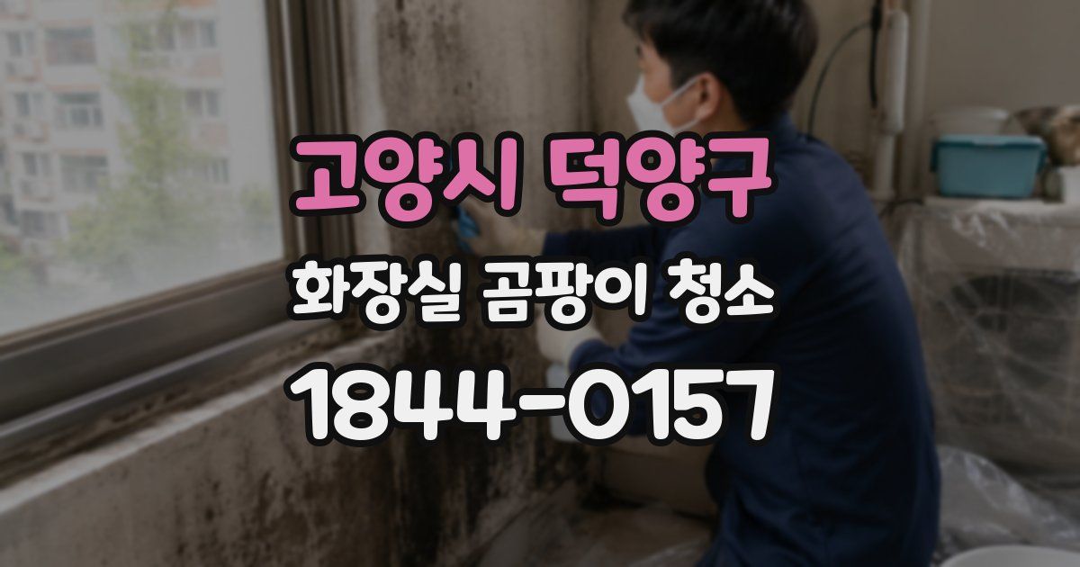 고양시 덕양구 화장실 곰팡이 청소