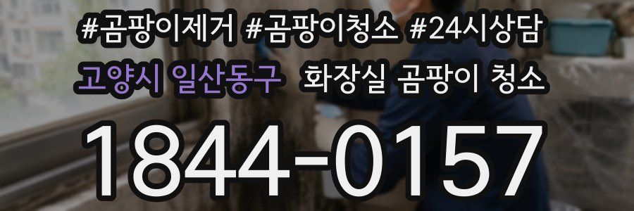 고양시 일산동구 화장실 곰팡이 청소