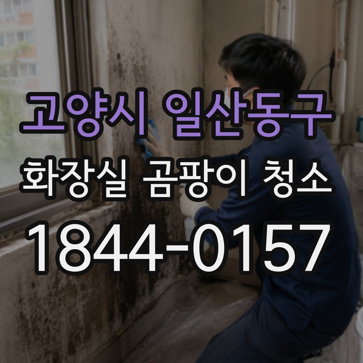 고양시 일산동구 화장실 곰팡이 청소