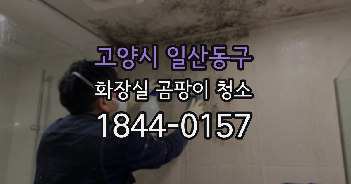 고양시 일산동구 화장실 곰팡이 청소