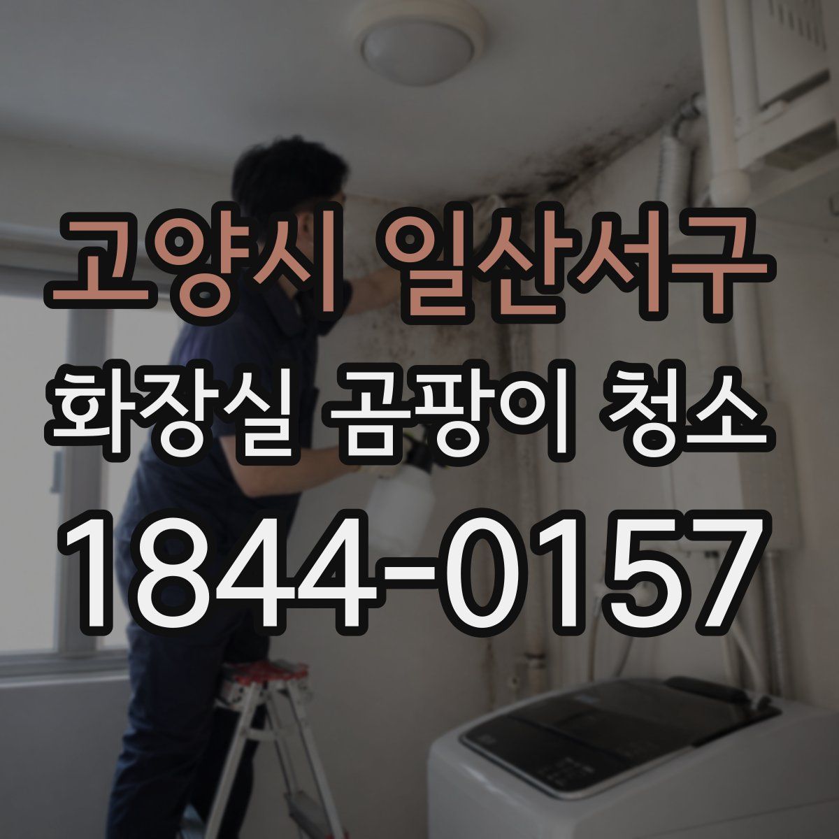 고양시 일산서구 화장실 곰팡이 청소