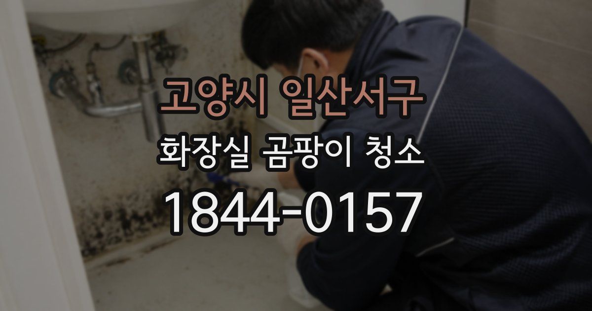 고양시 일산서구 화장실 곰팡이 청소